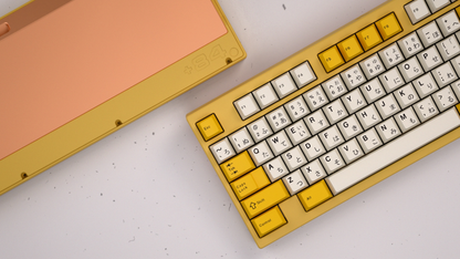 +84 Classic TKL [Group Buy]