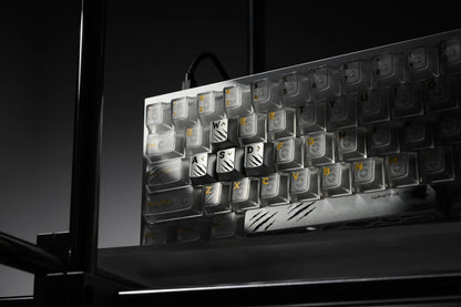 Keycap tray angled view with light and dark keycaps and a tiger icon key