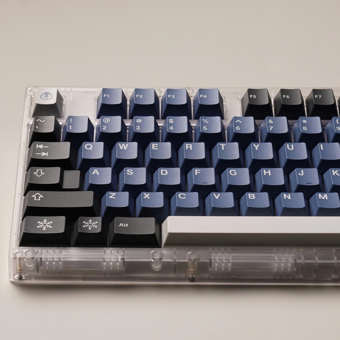SW Antarctic Keycaps